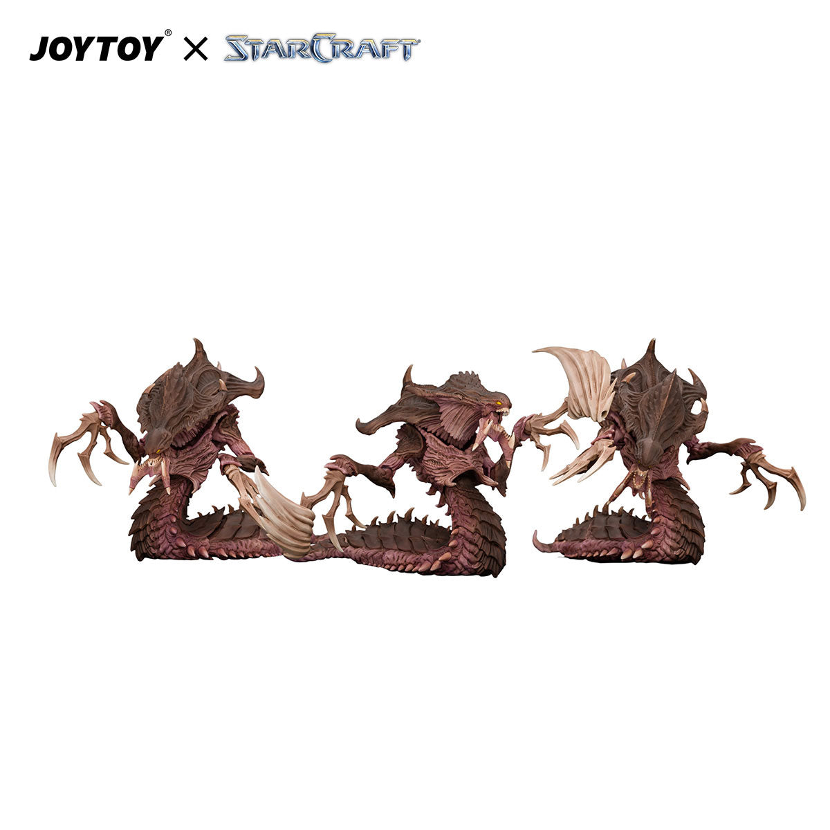#OPTION_SET OF 3