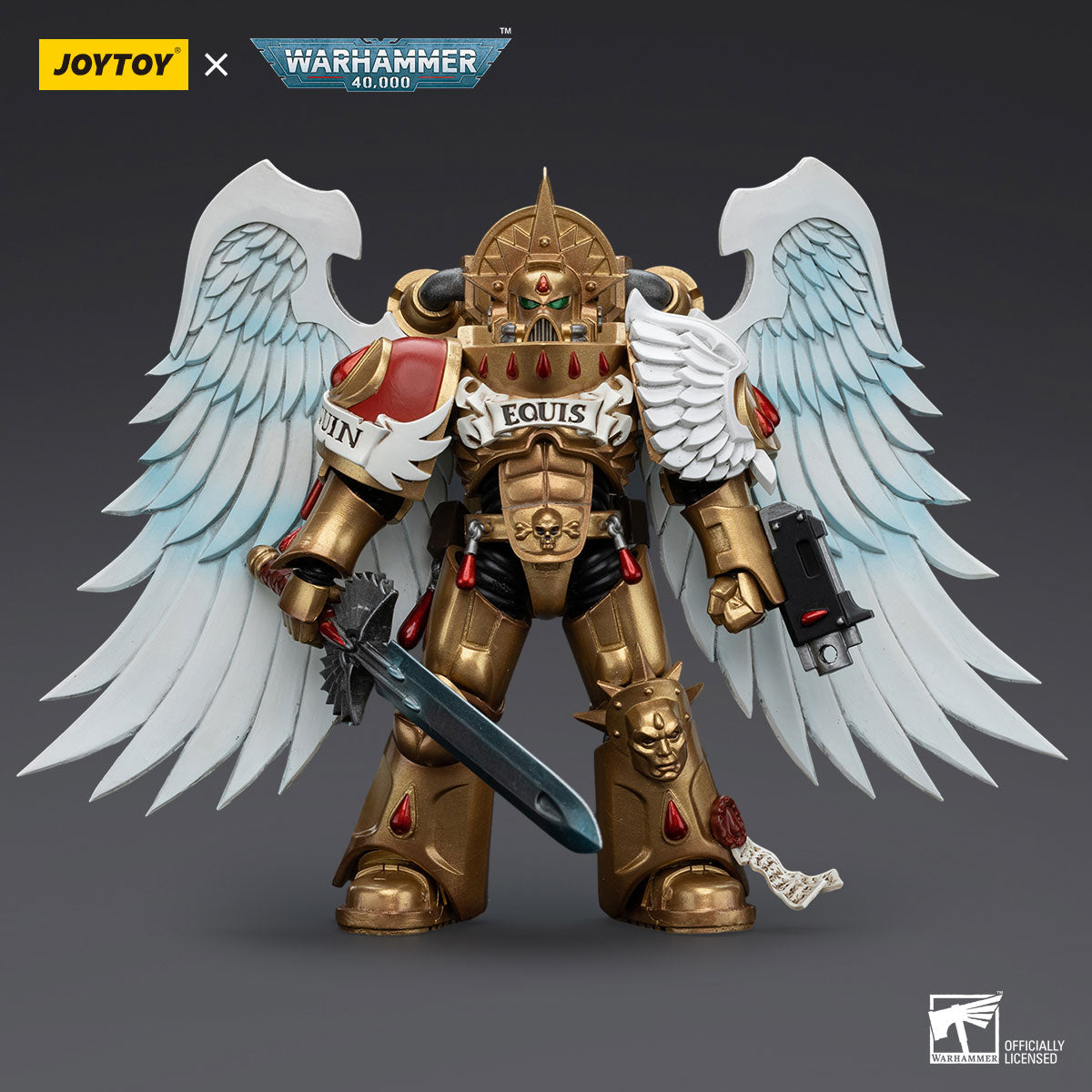 Blood Angels Sanguinary Guard